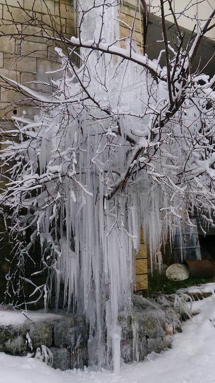 El Achkar Guesthouse Beit ed Dine Εξωτερικό φωτογραφία